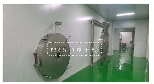 fzg食品冻干机解决冻干食品复水性问题