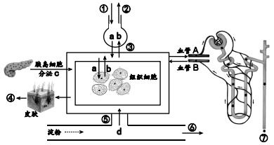 作为一种常用的现代生物技术,转基因技术已被广泛应用于生产当中 你的生活中有转基因产品吗 你了解转基因产品的生产原理吗 你对转基因产品持什么态度 请阅读下面的资料并回答问题